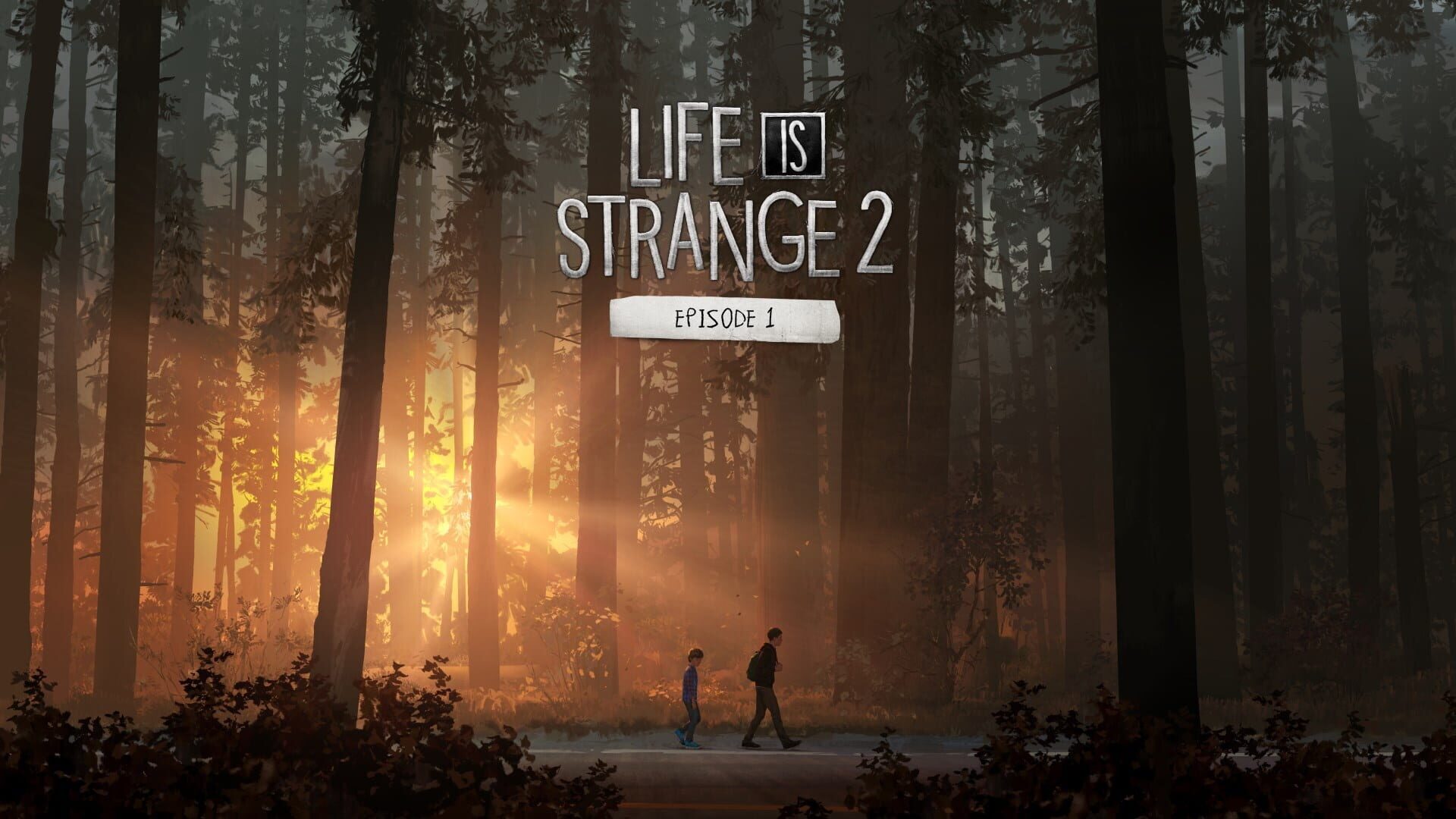 Artwork for Life is Strange 2: Episode 1 - Roads