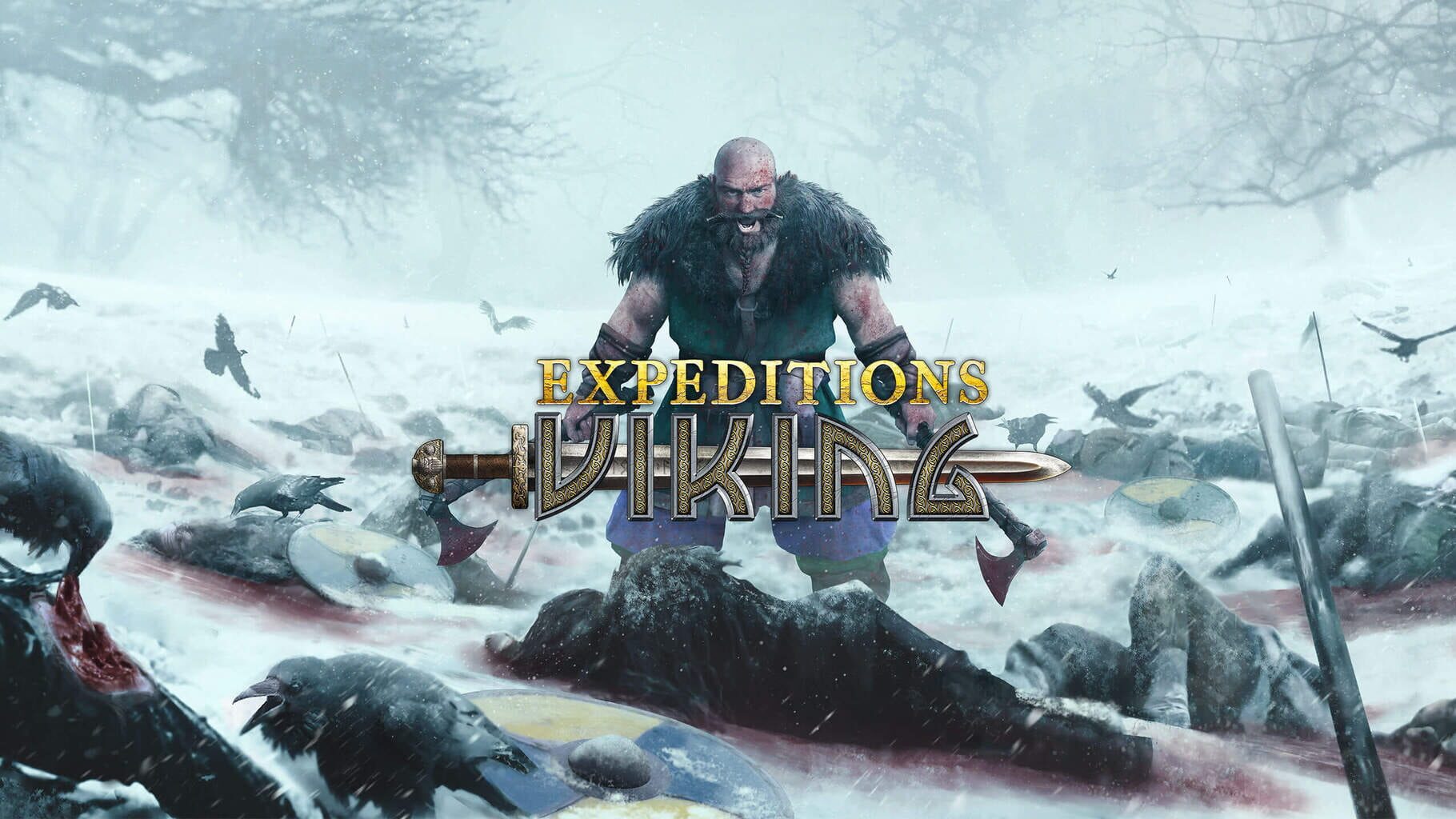 Artwork for Expeditions: Viking