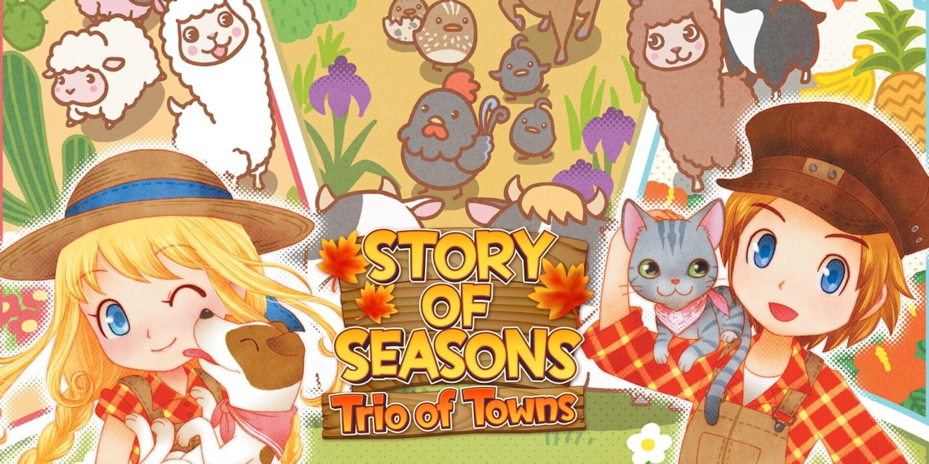 Artwork for Story of Seasons: Trio of Towns