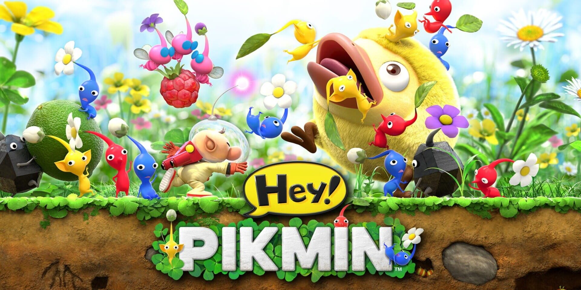 Artwork for Hey! Pikmin