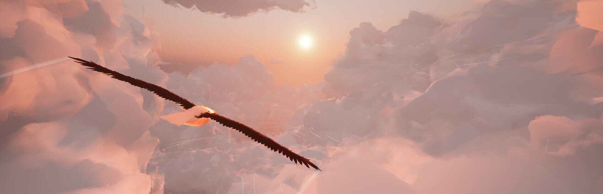 Artwork for Toroa: Skycall