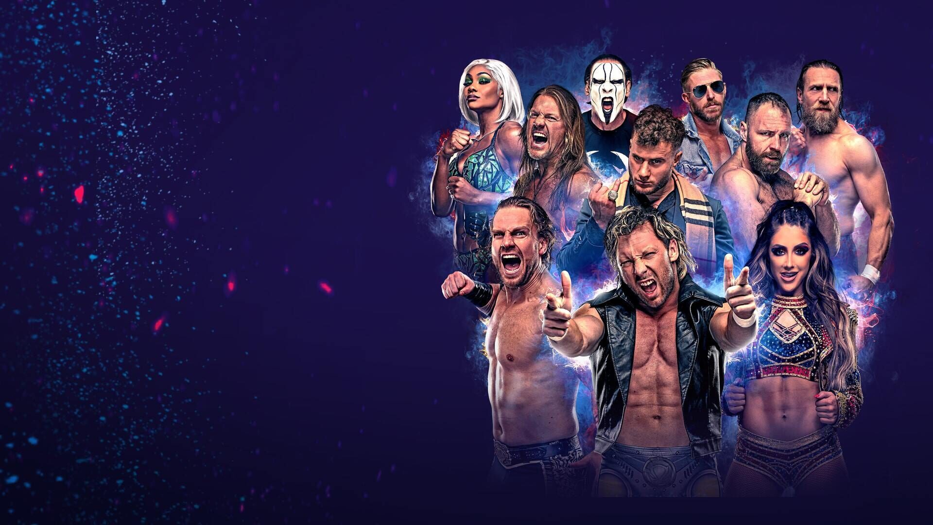 Artwork for All Elite Wrestling: Fight Forever