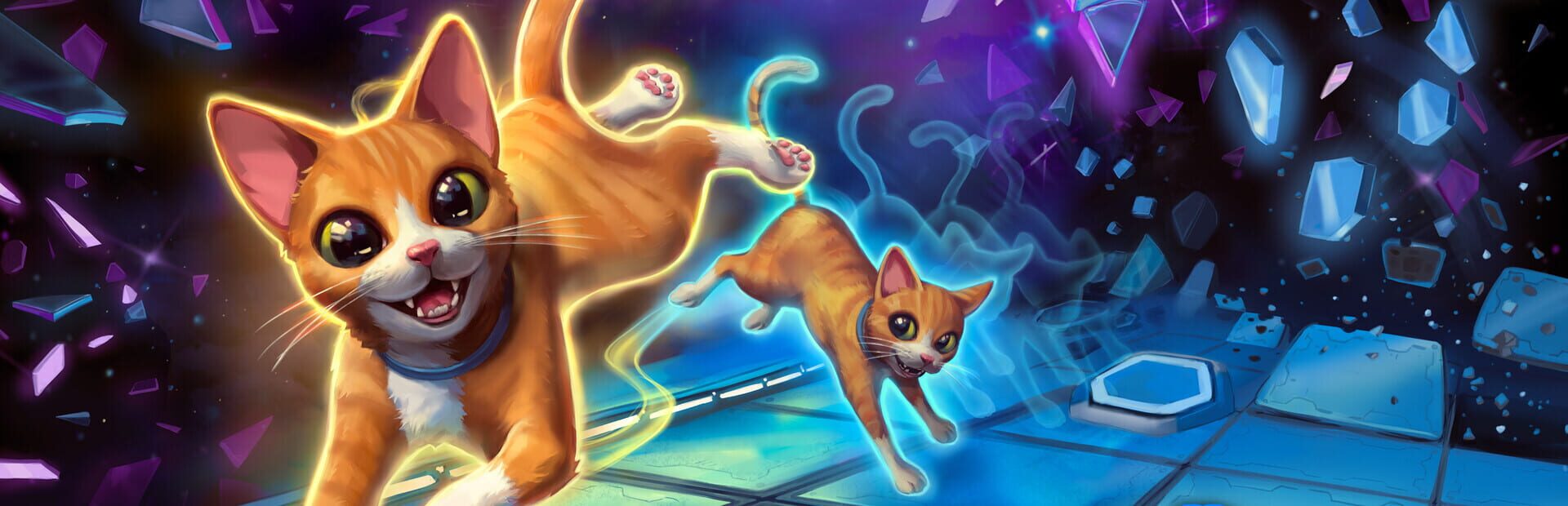 Artwork for Schrodinger's Cat Burglar