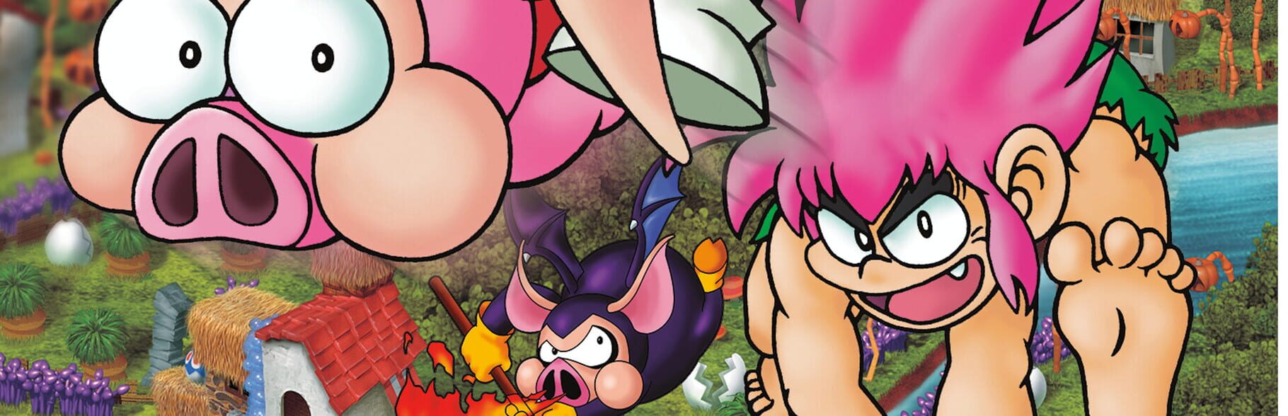 Artwork for Tomba! Special Edition