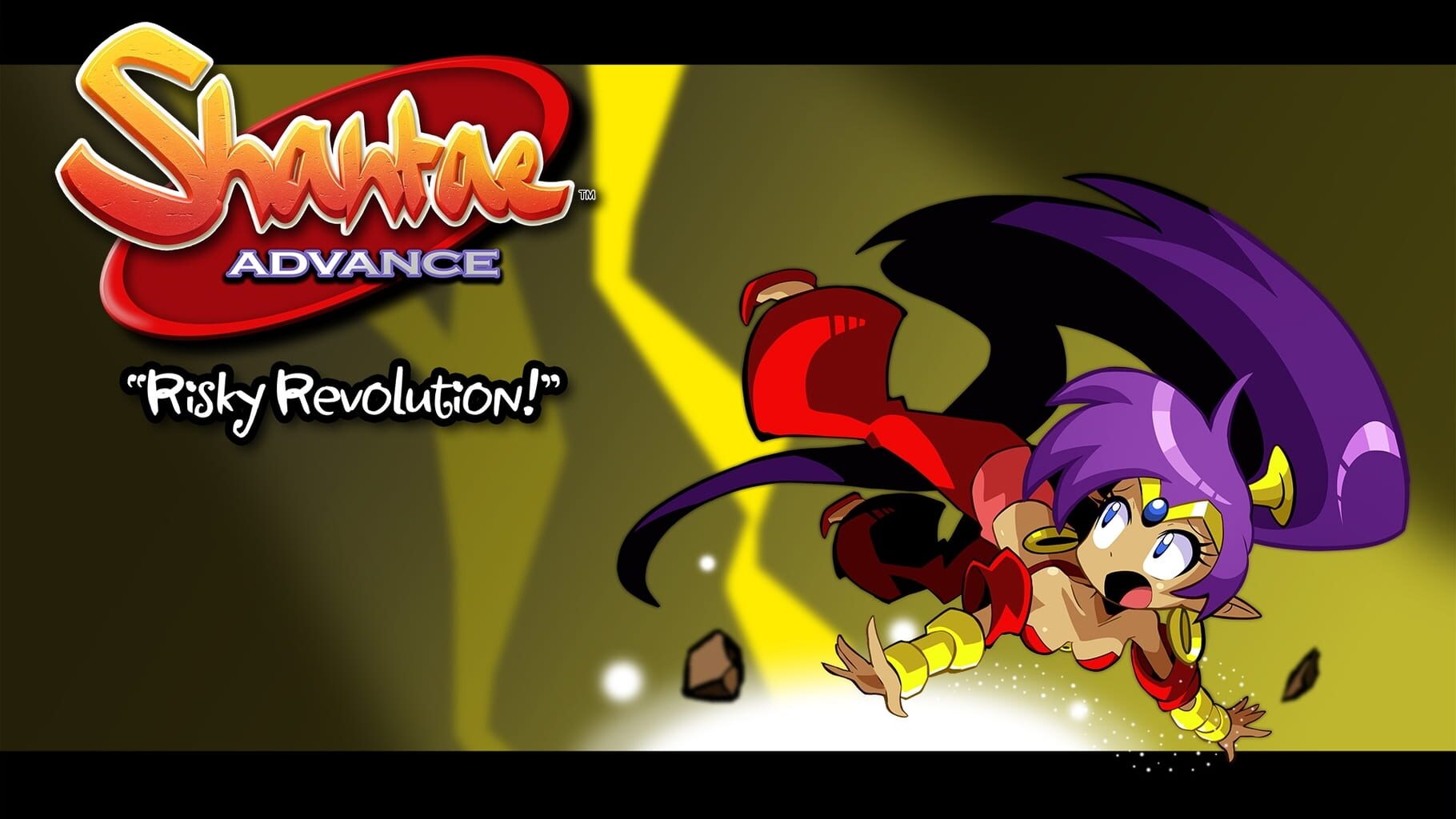 Artwork for Shantae Advance: Risky Revolution