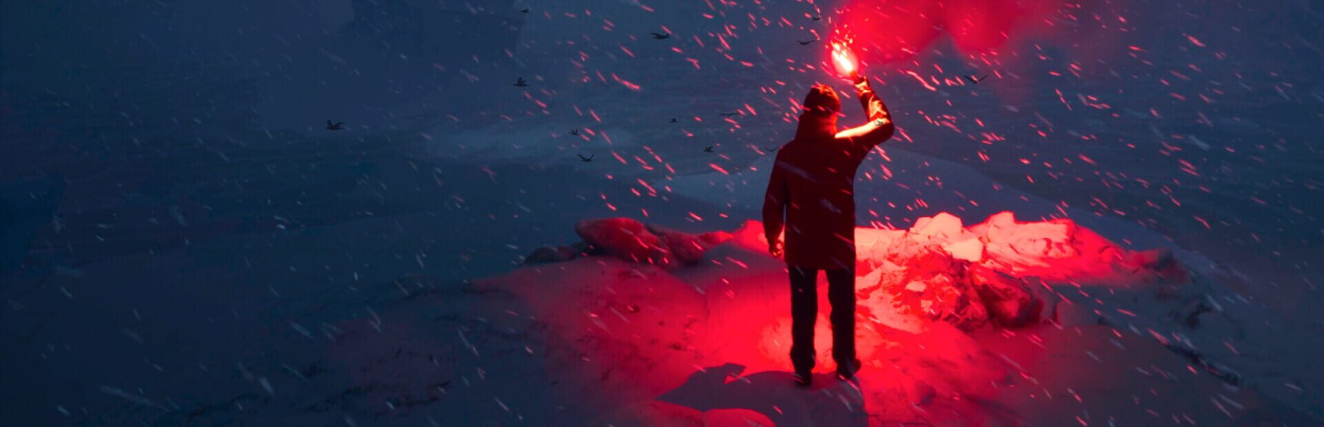 Artwork for Will: Follow the Light