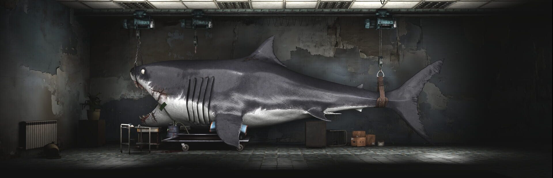 Artwork for Shark Dentist