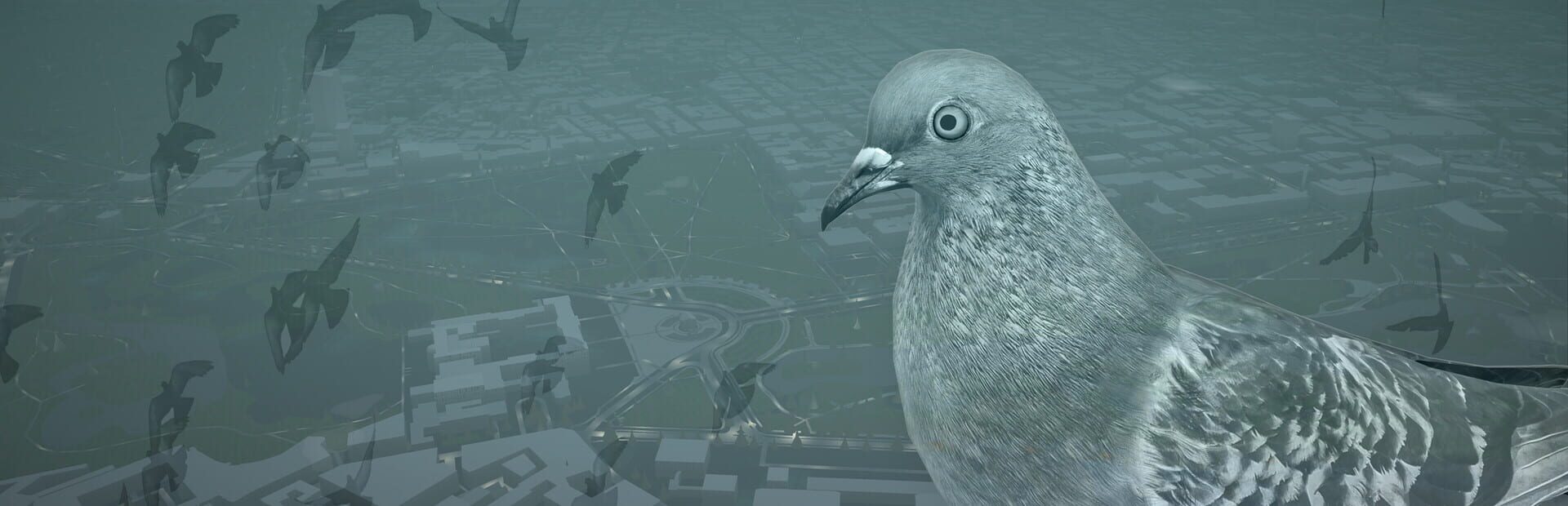 Artwork for Pigeon: A Love Story