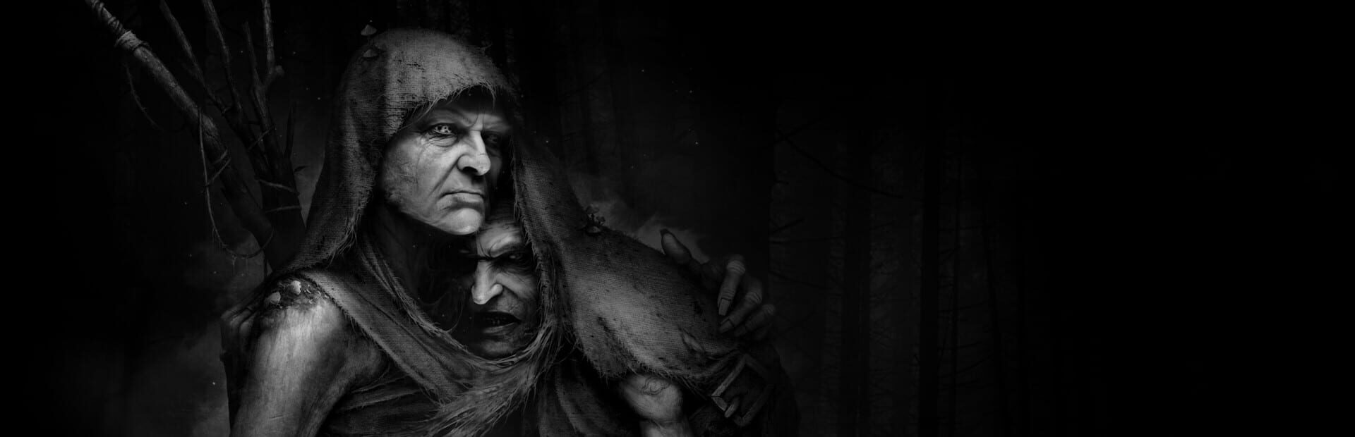 Artwork for Darkwood II