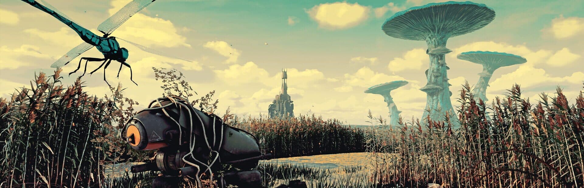 Artwork for Back in the Swamp
