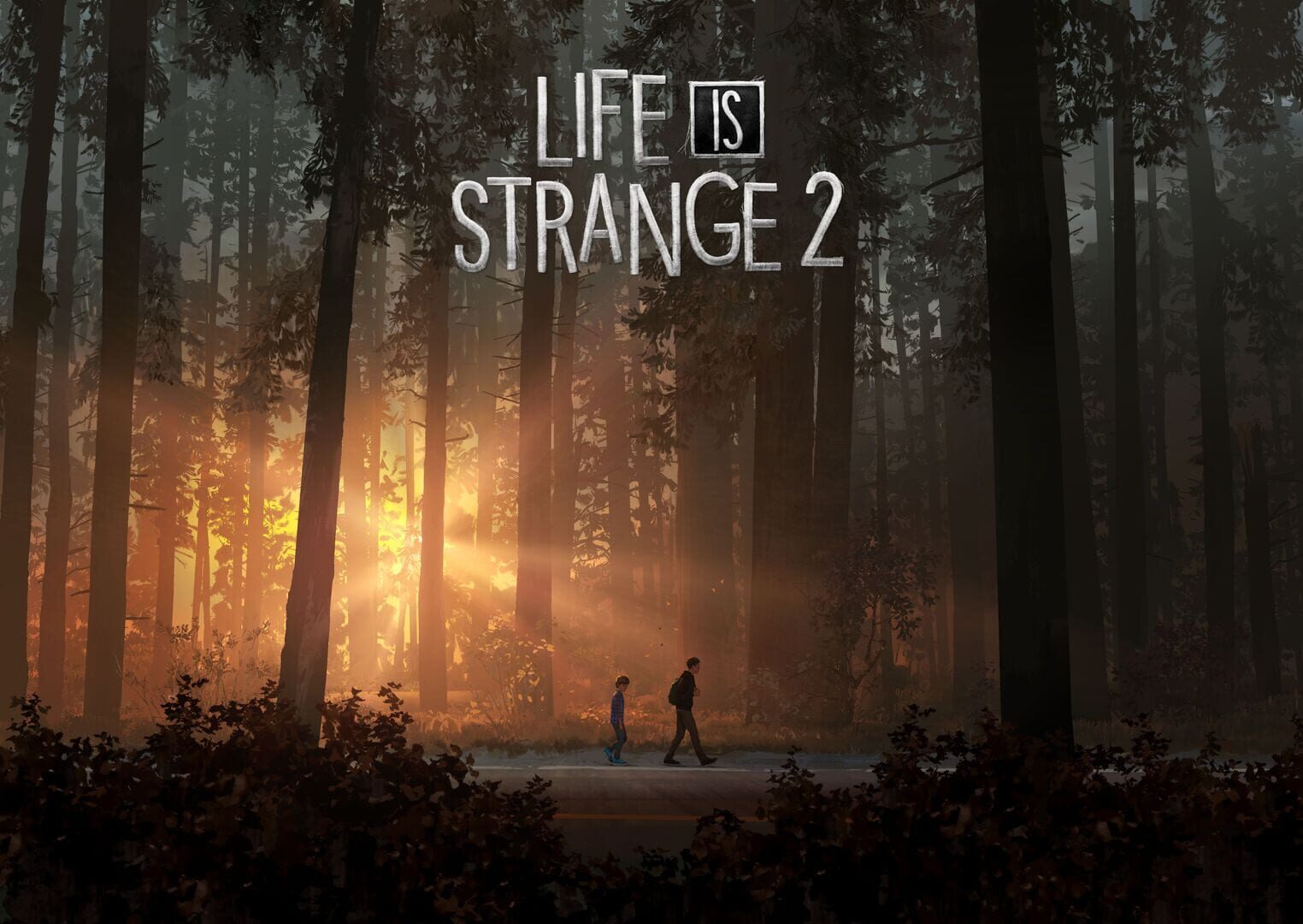 Artwork for Life is Strange 2