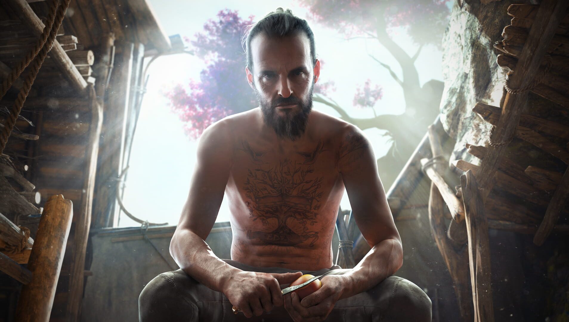Artwork for Far Cry New Dawn