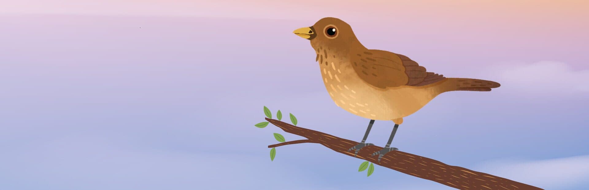 Artwork for The Birdsong Tree