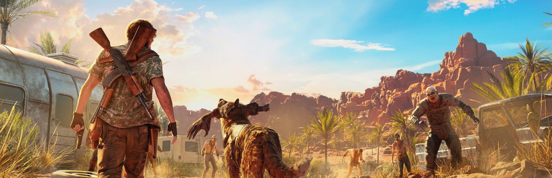 Artwork for Arizona Sunshine