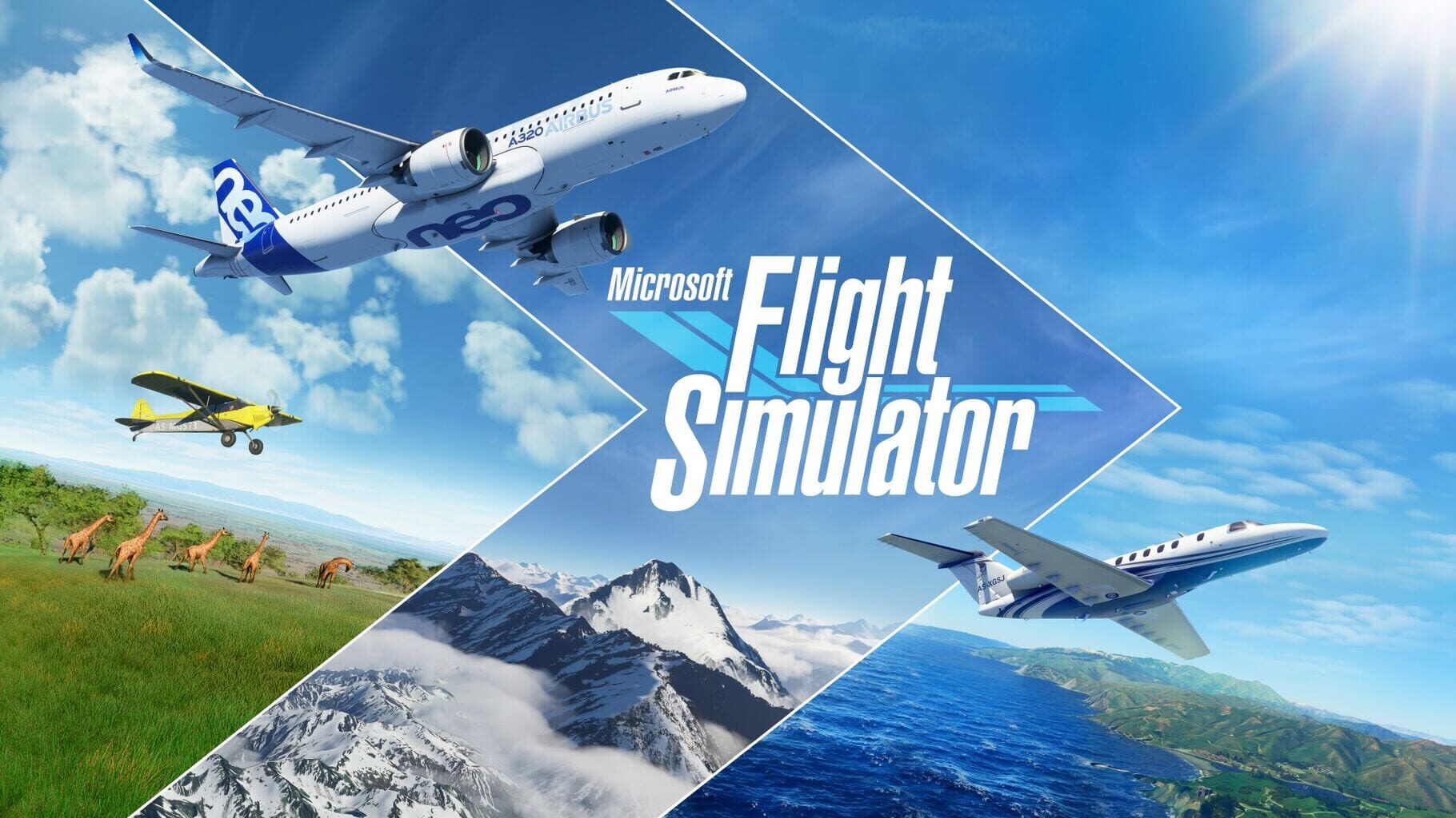 Artwork for Microsoft Flight Simulator