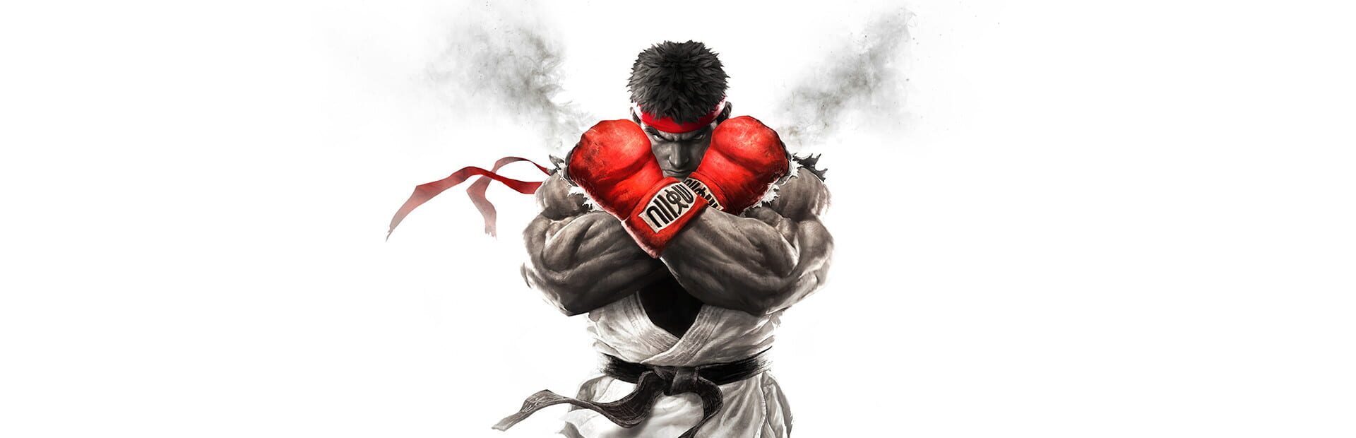 Artwork for Street Fighter V