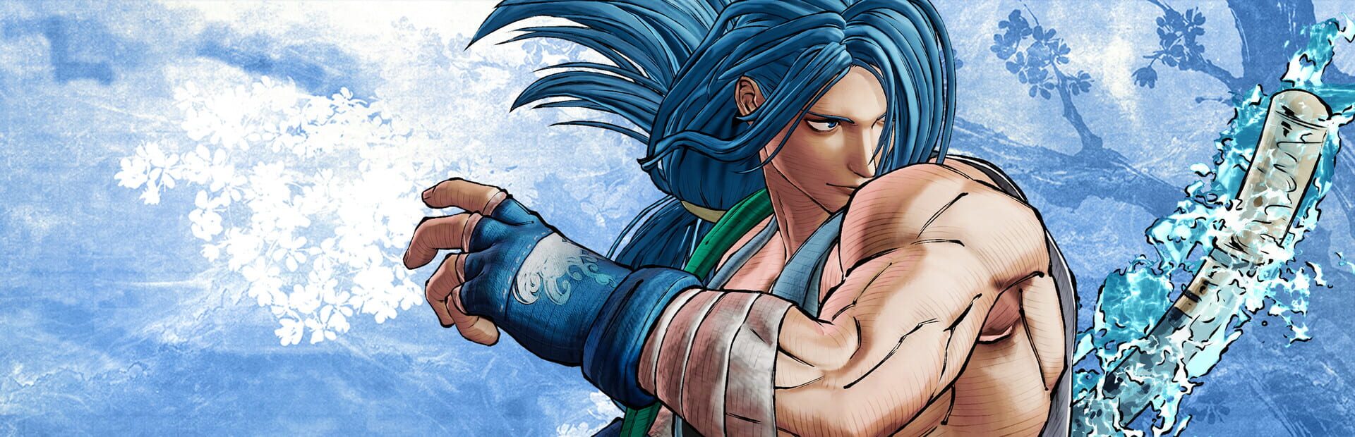 Artwork for Samurai Shodown: Sogetsu Kazama