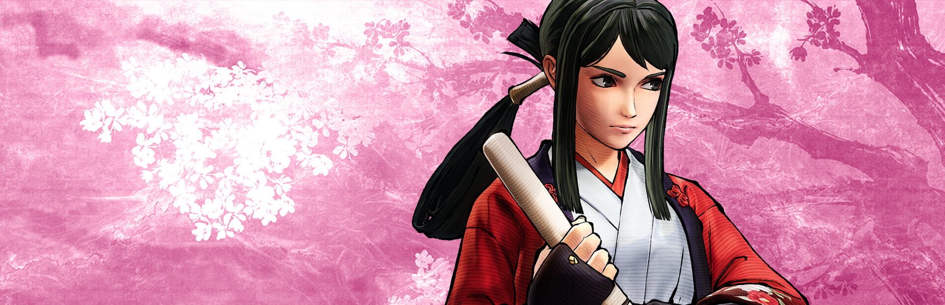 Artwork for Samurai Shodown: Hibiki Takane