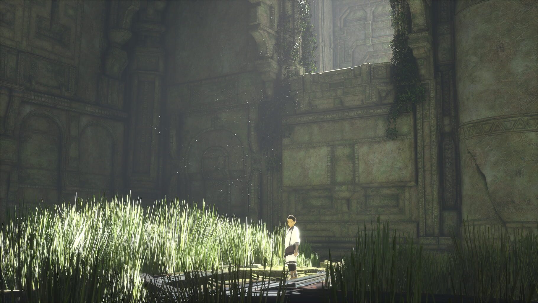 Screenshot for The Last Guardian