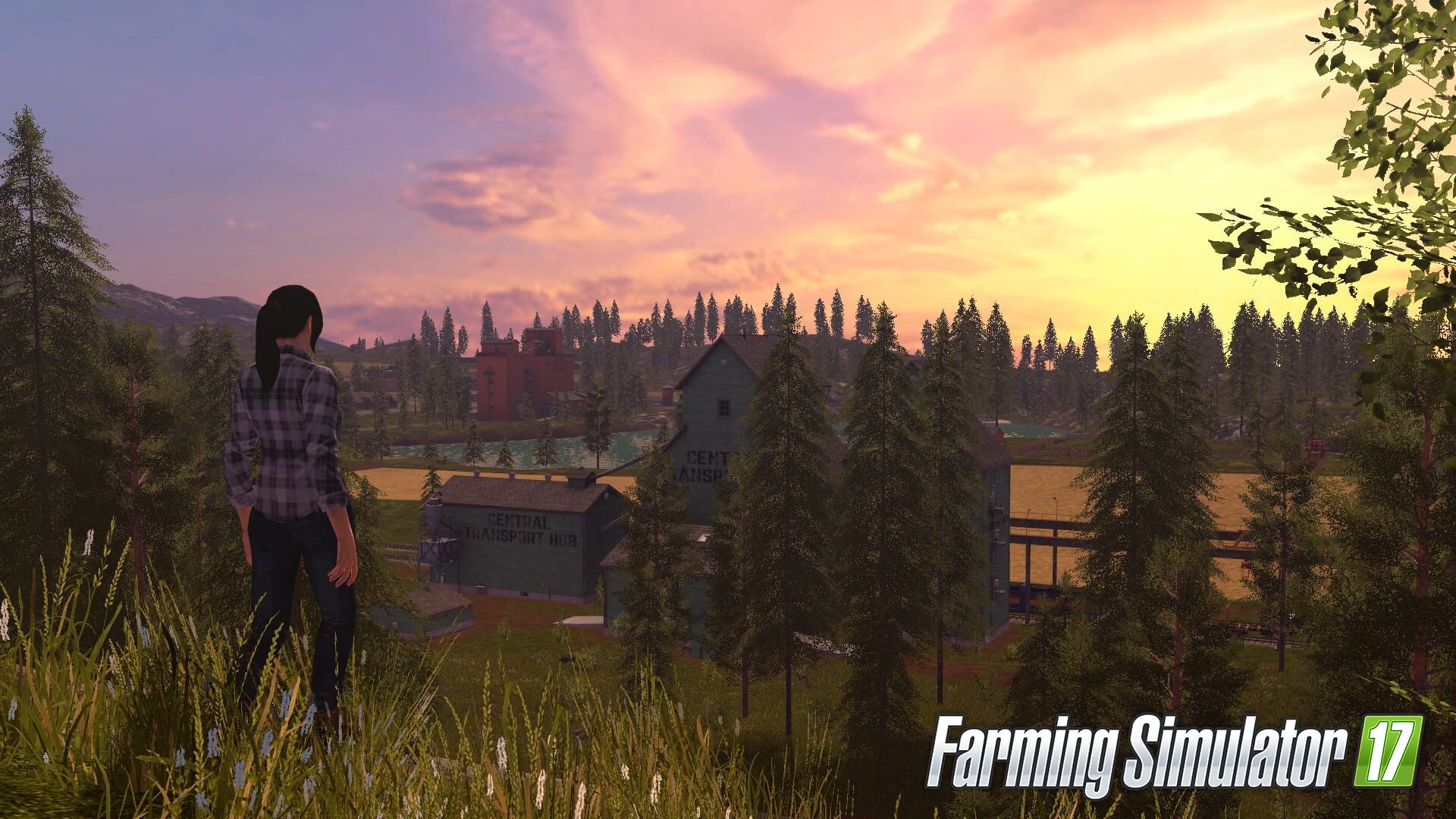 Screenshot for Farming Simulator 17