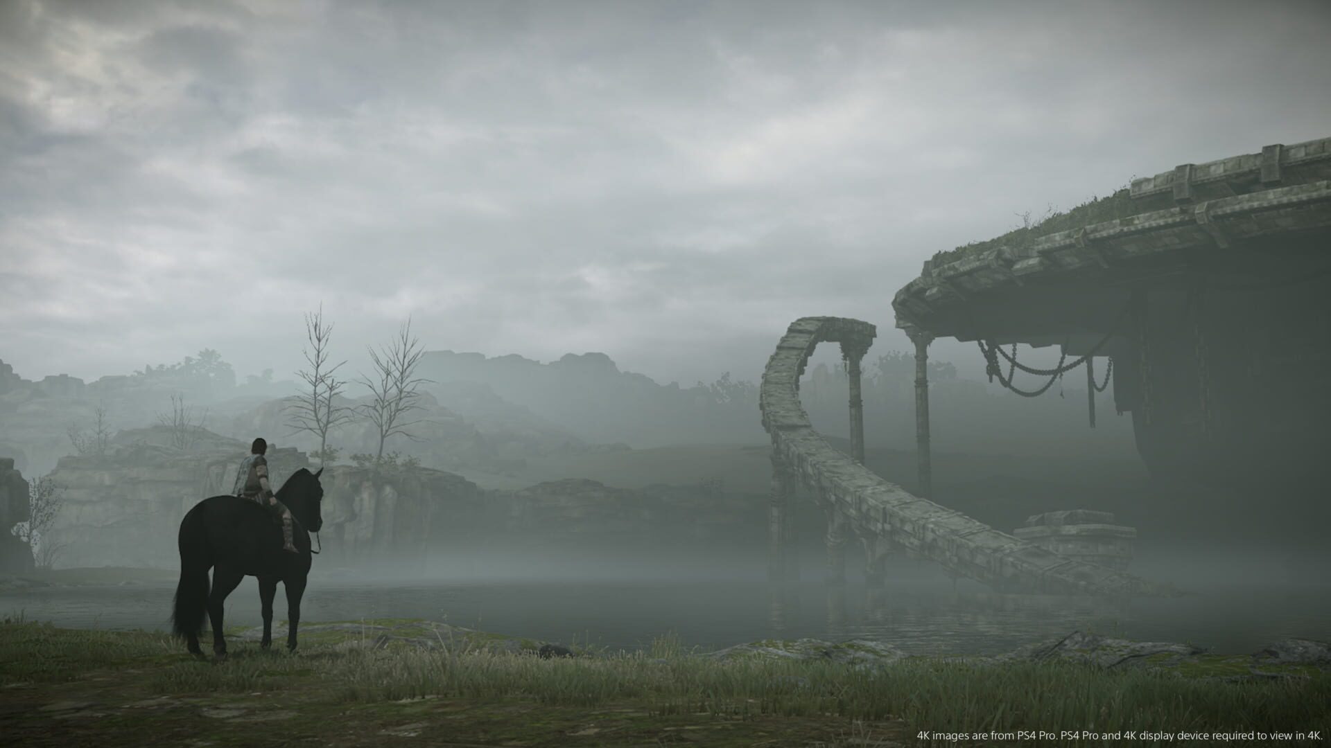 Screenshot for Shadow of the Colossus