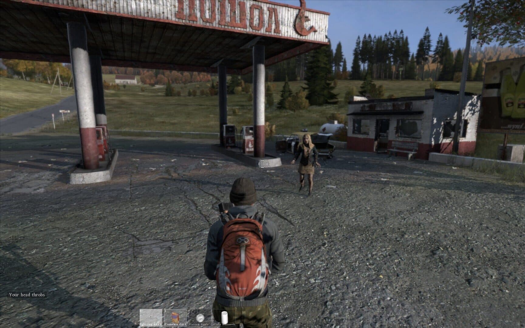 Screenshot for DayZ