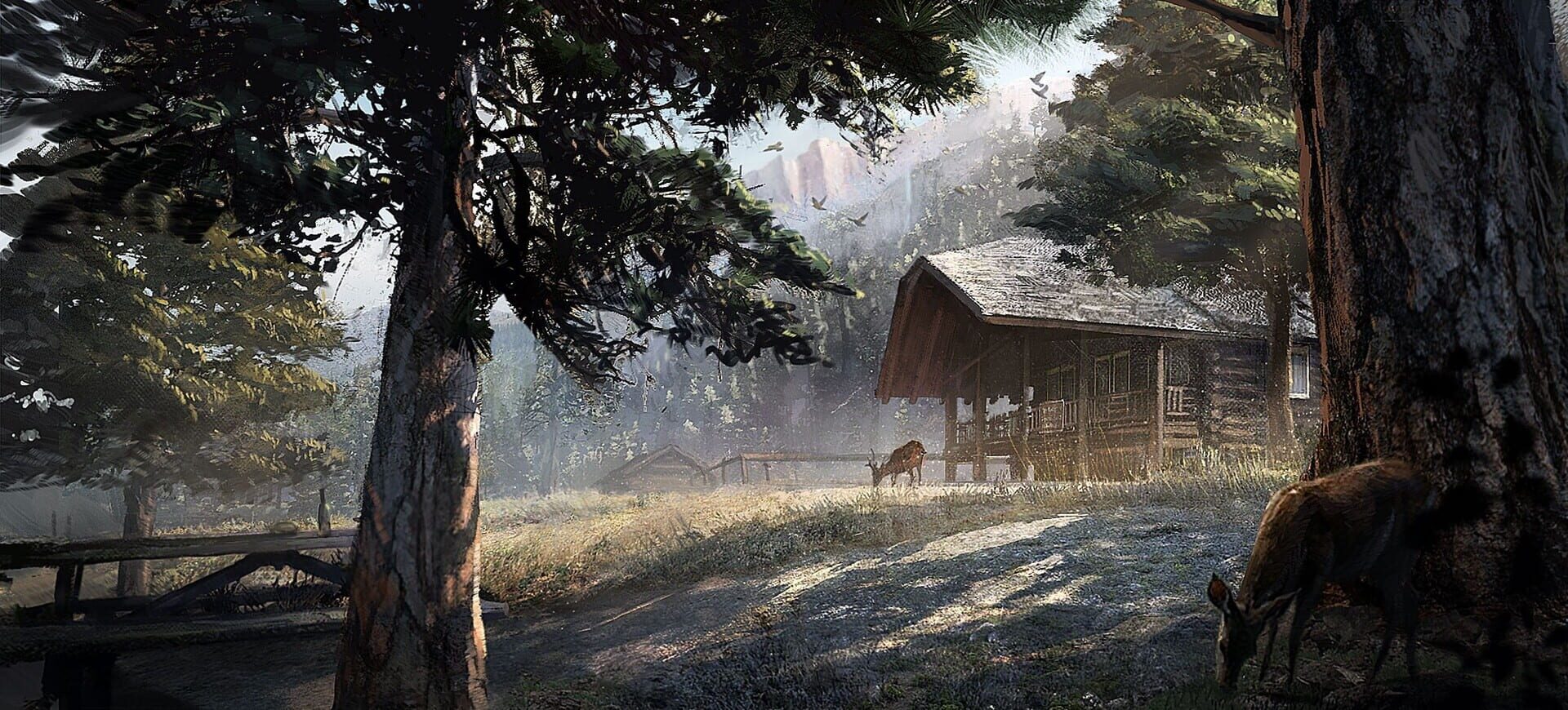 Artwork for Far Cry 5