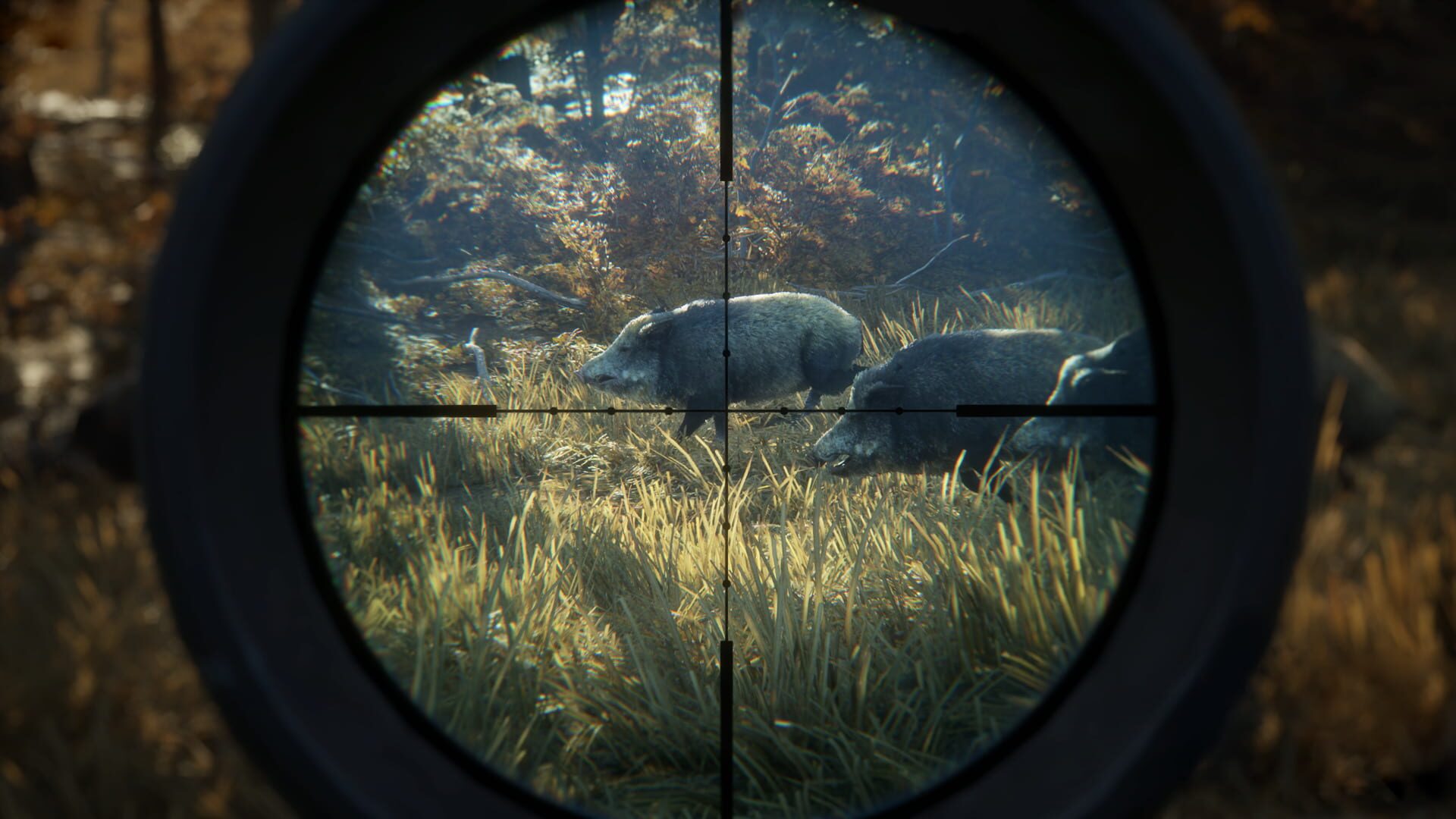 Screenshot for TheHunter: Call of the Wild