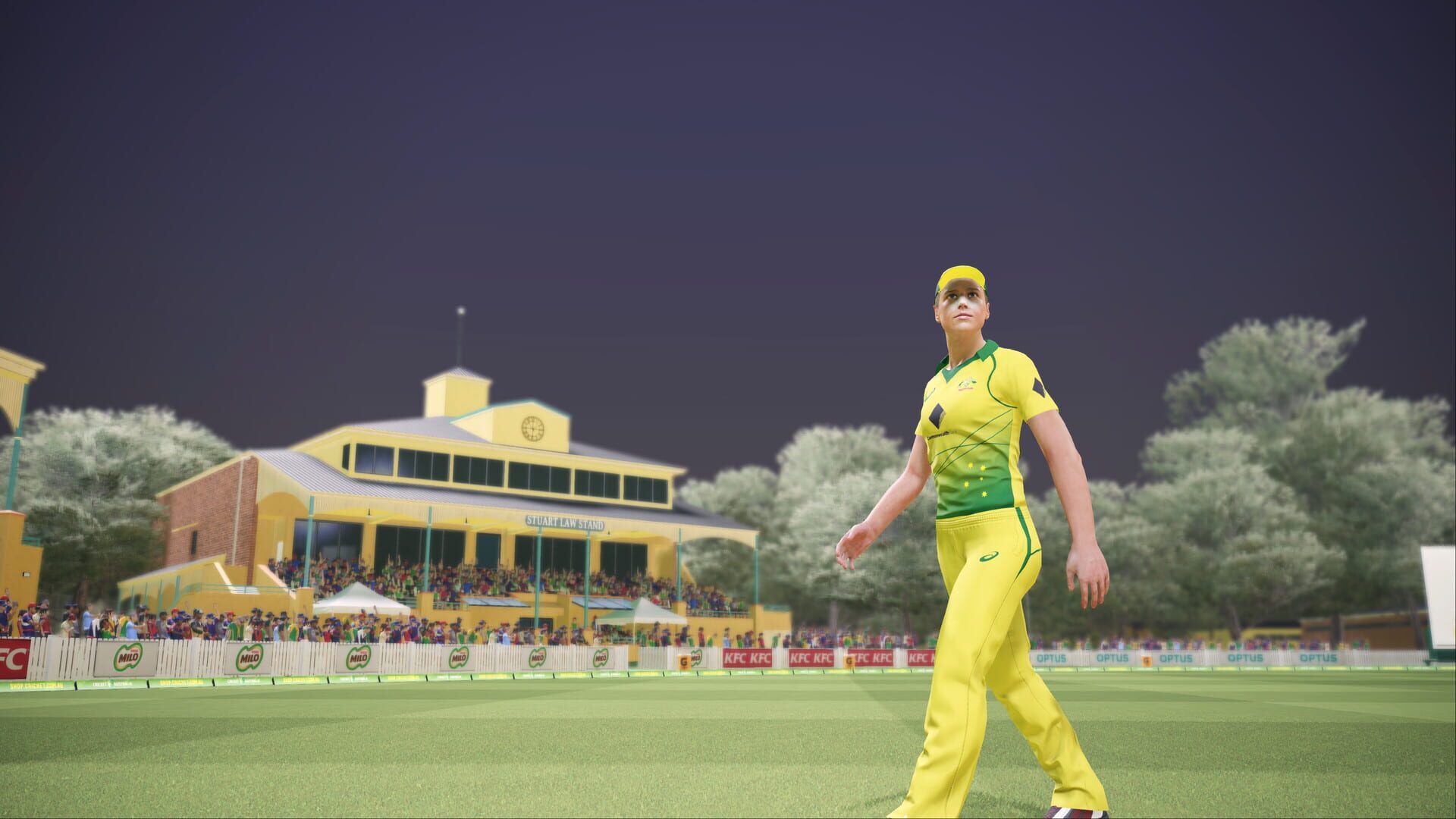 Screenshot for Ashes Cricket