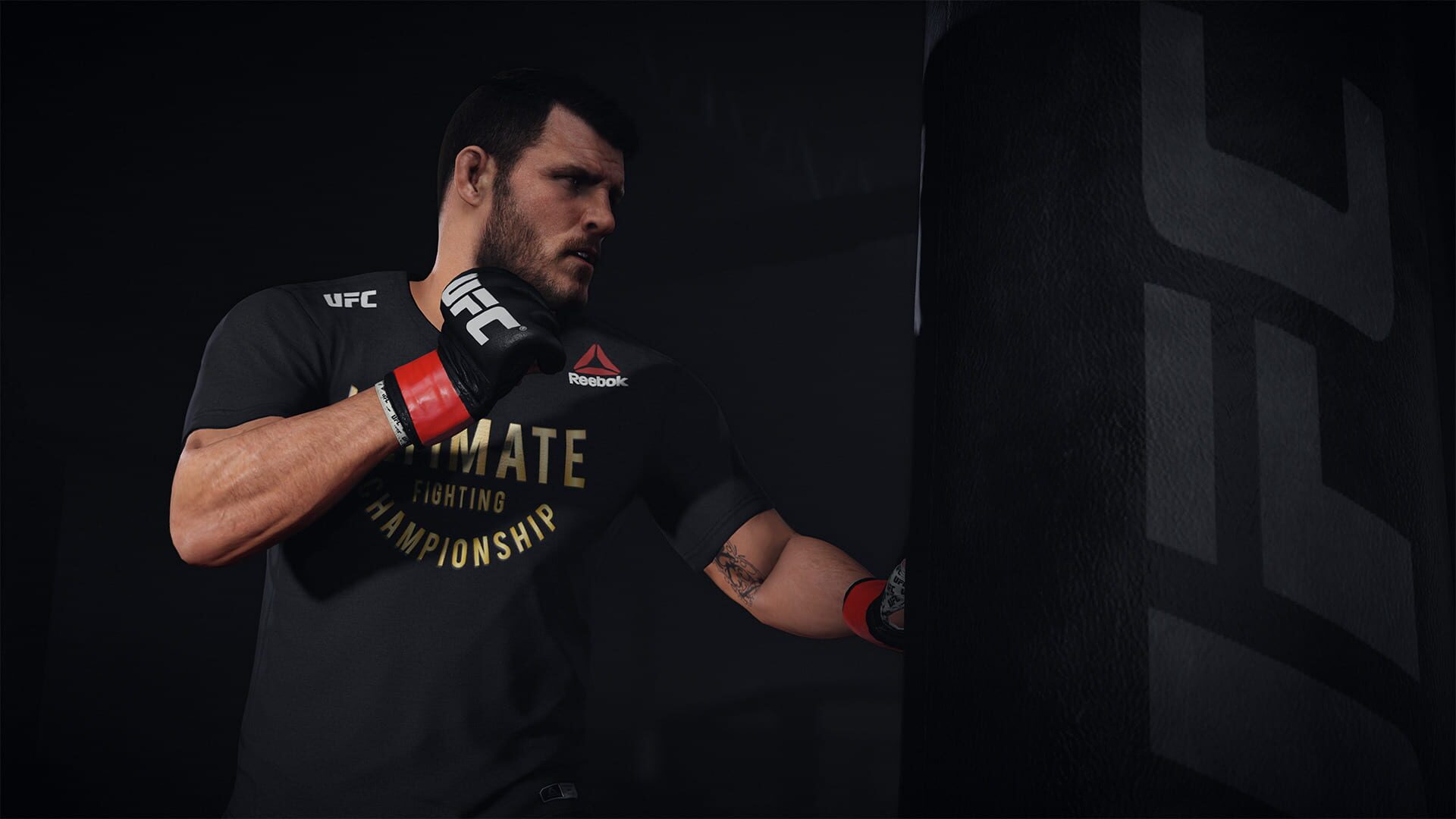 Screenshot for EA Sports UFC 3