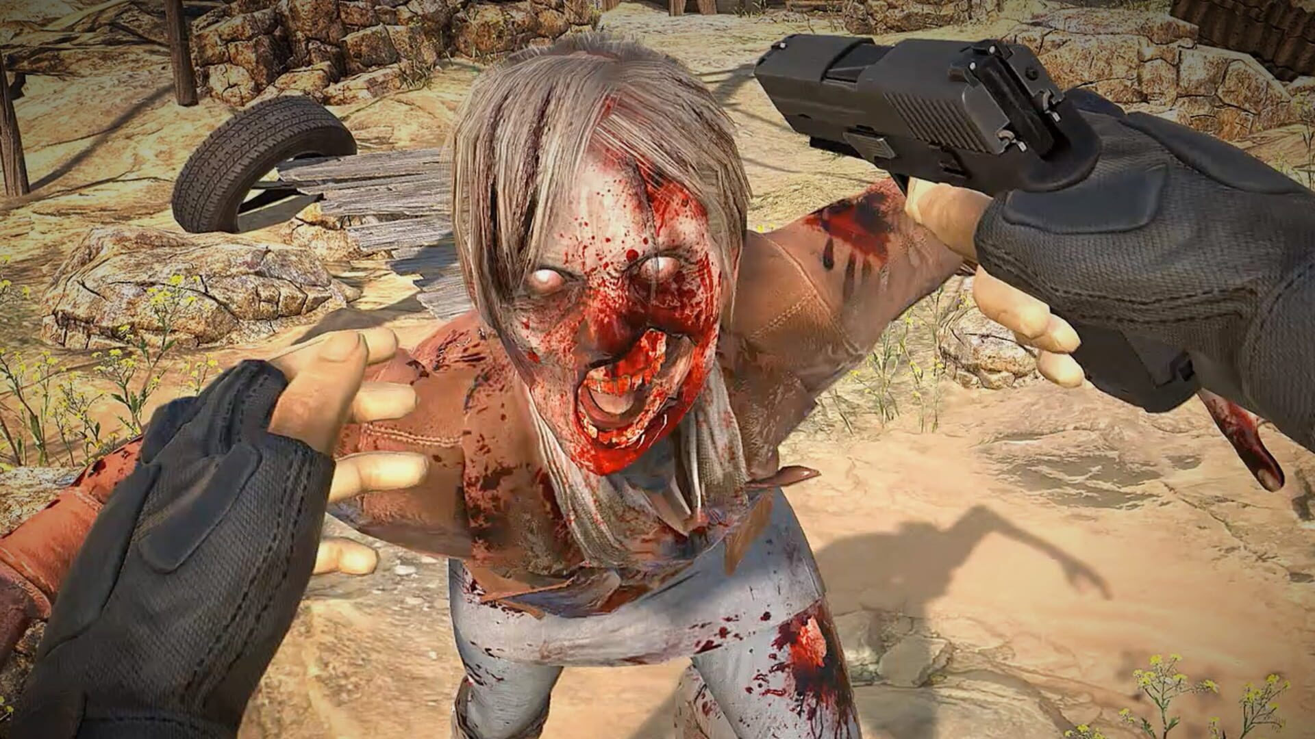 Screenshot for Arizona Sunshine