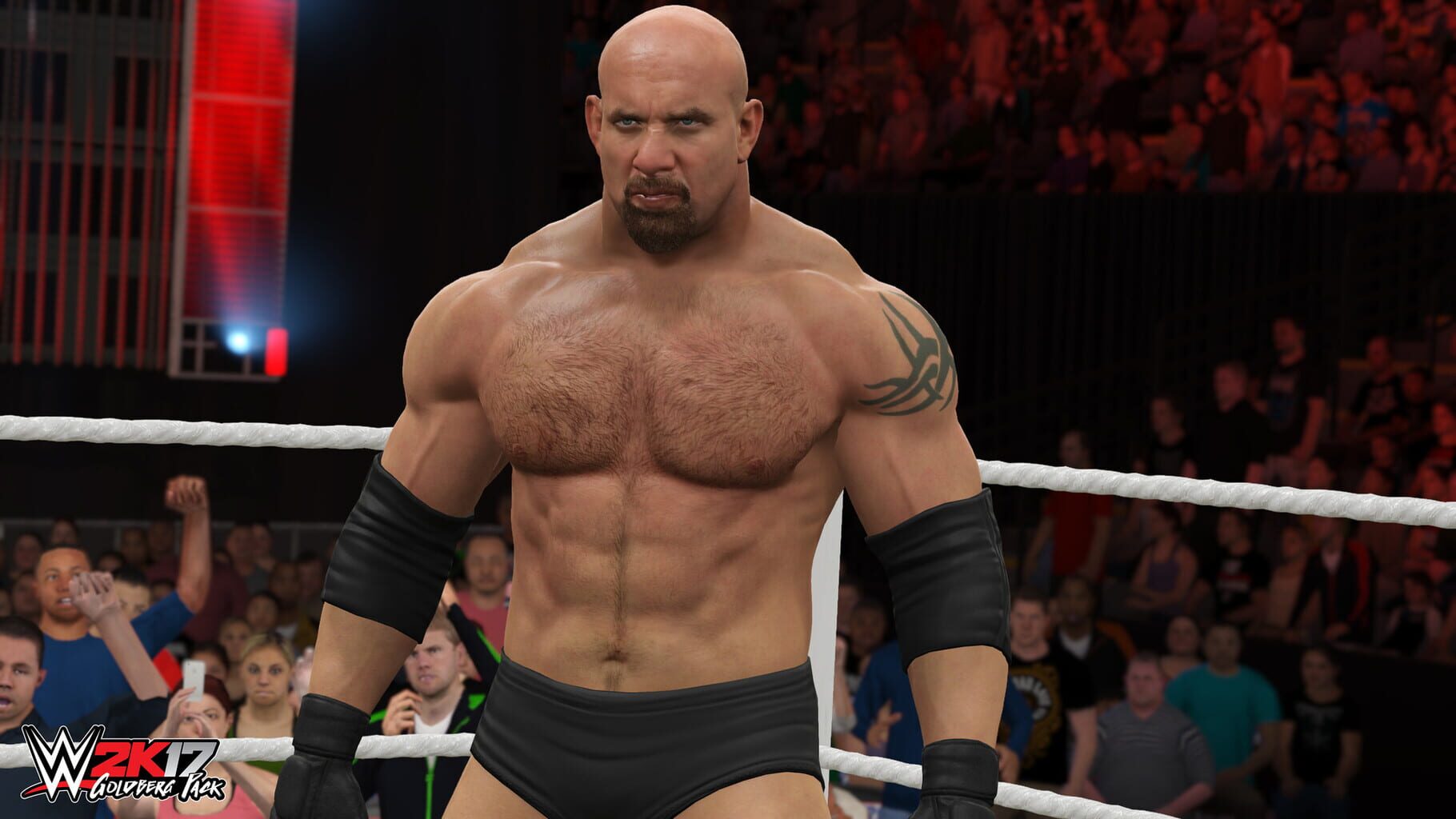 Screenshot for WWE 2K17
