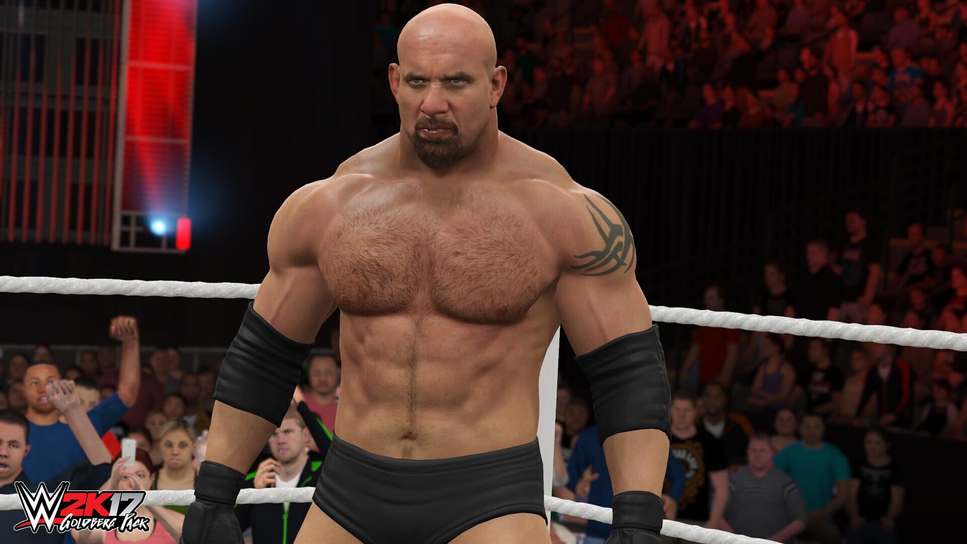 Screenshot for WWE 2K17