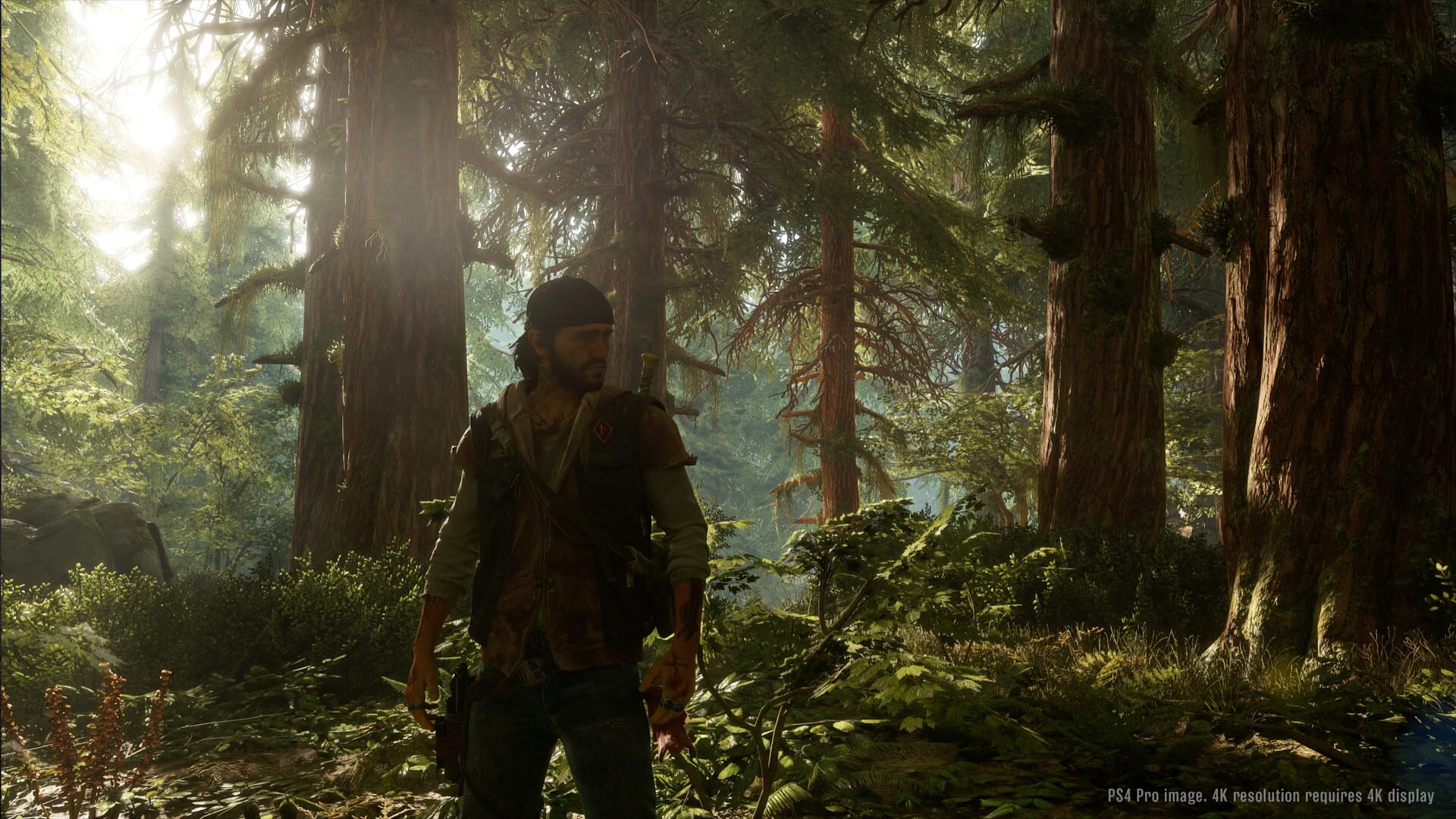 Screenshot for Days Gone