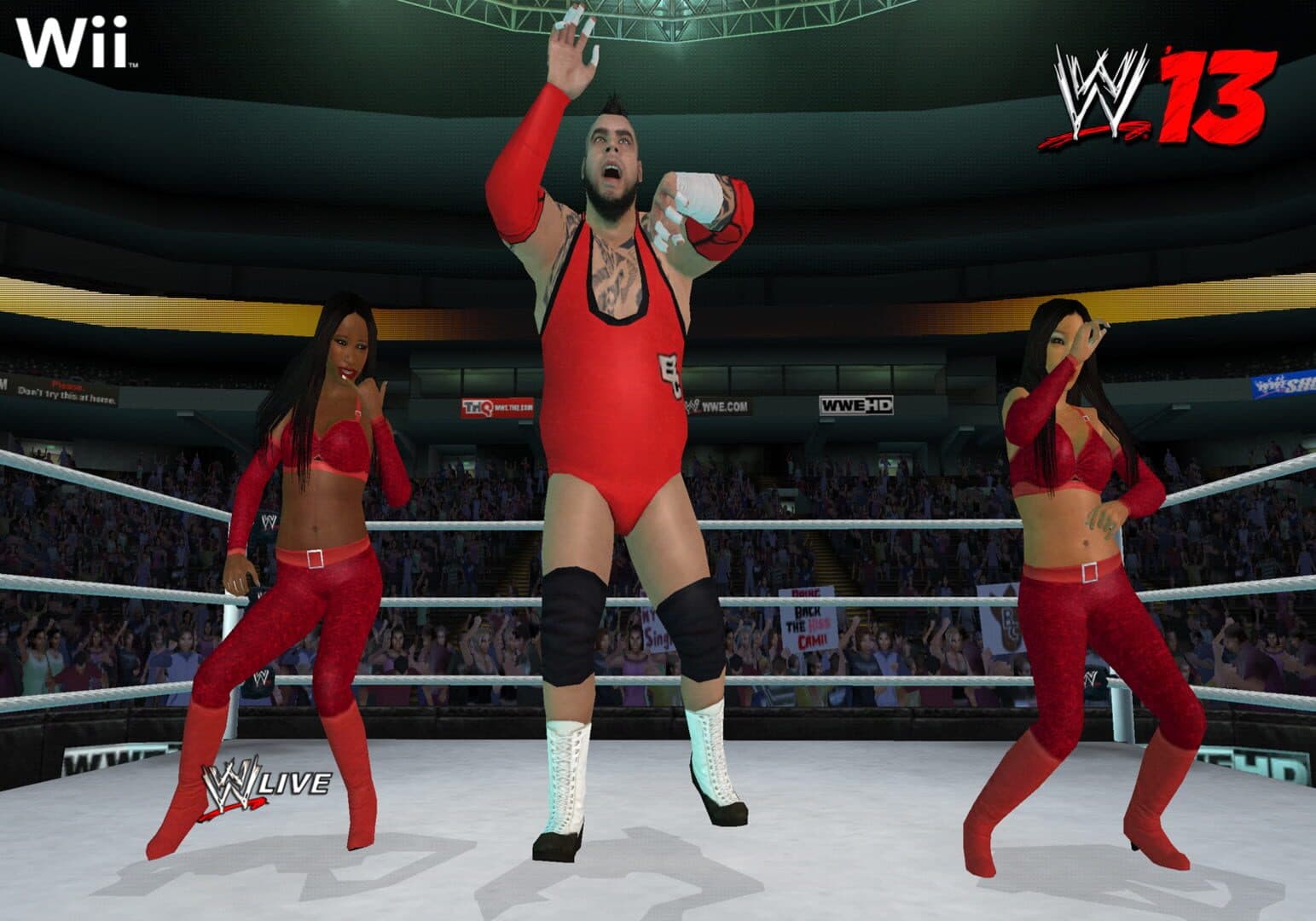 Screenshot for WWE '13