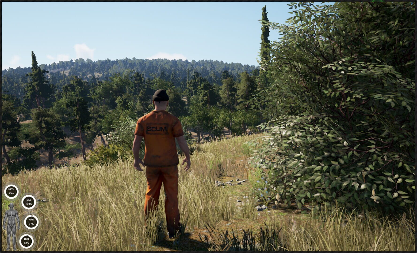 Screenshot for Scum