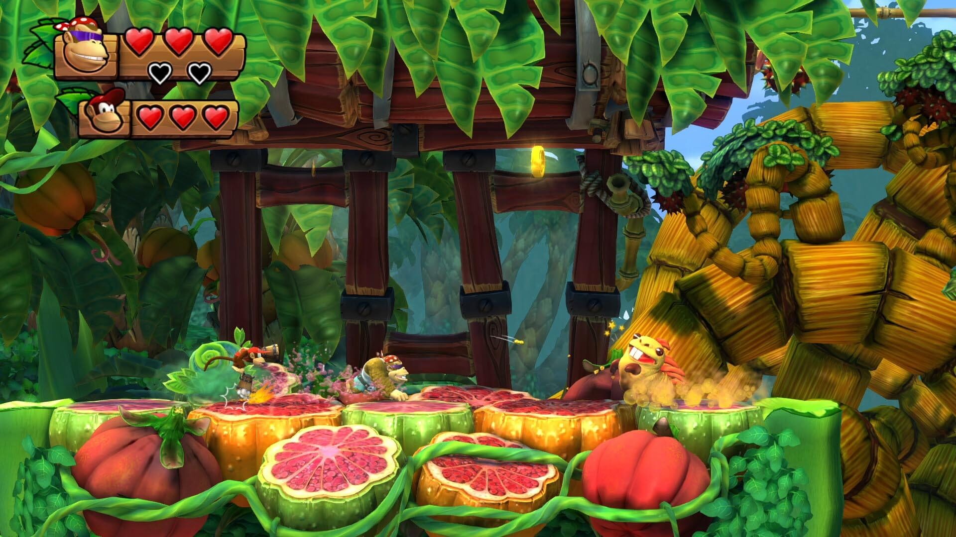 Screenshot for Donkey Kong Country: Tropical Freeze