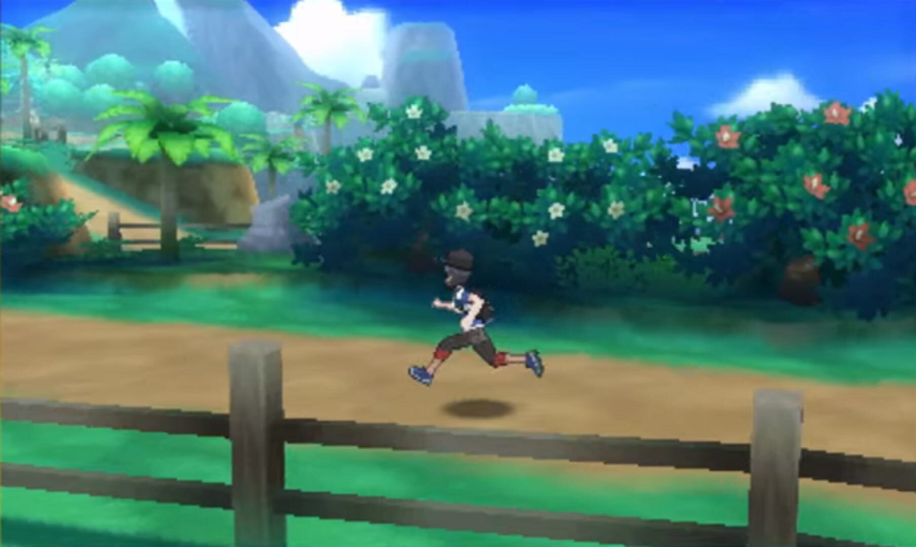 Screenshot for Pokémon Sun