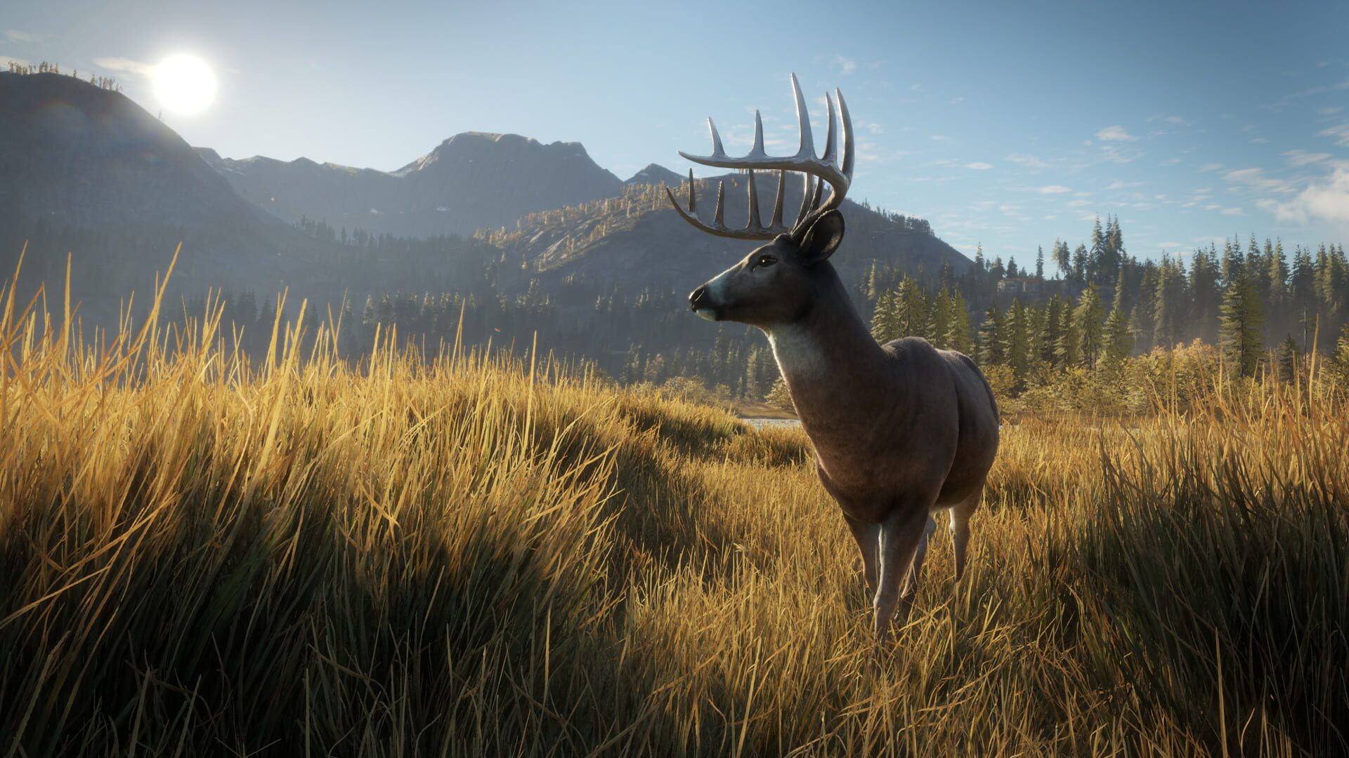 Screenshot for TheHunter: Call of the Wild