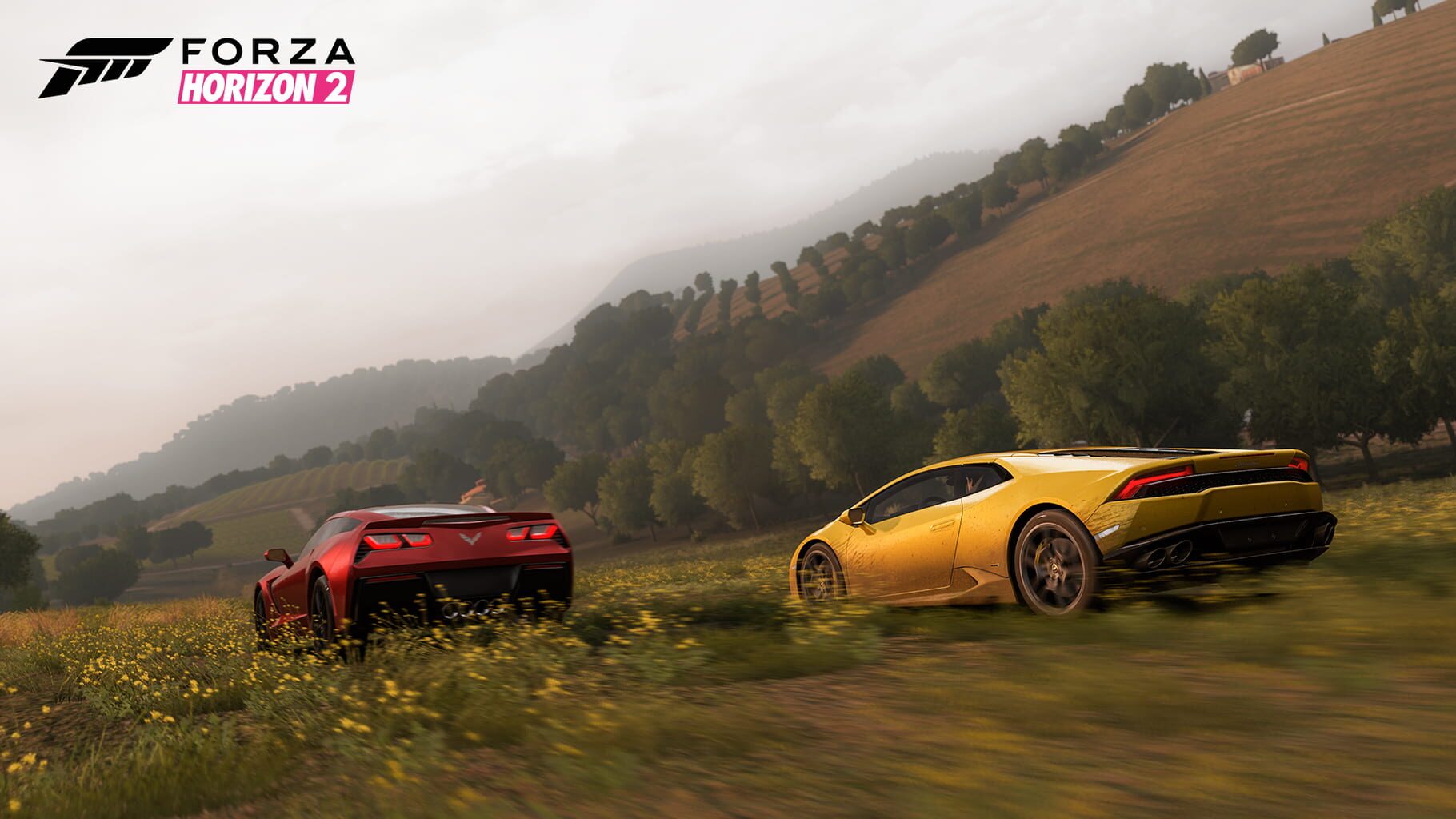 Screenshot for Forza Horizon 2