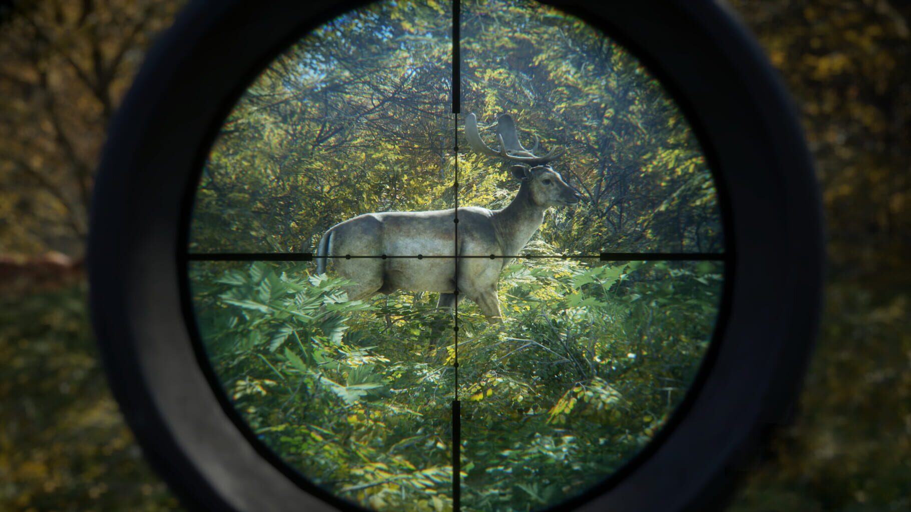 Screenshot for TheHunter: Call of the Wild