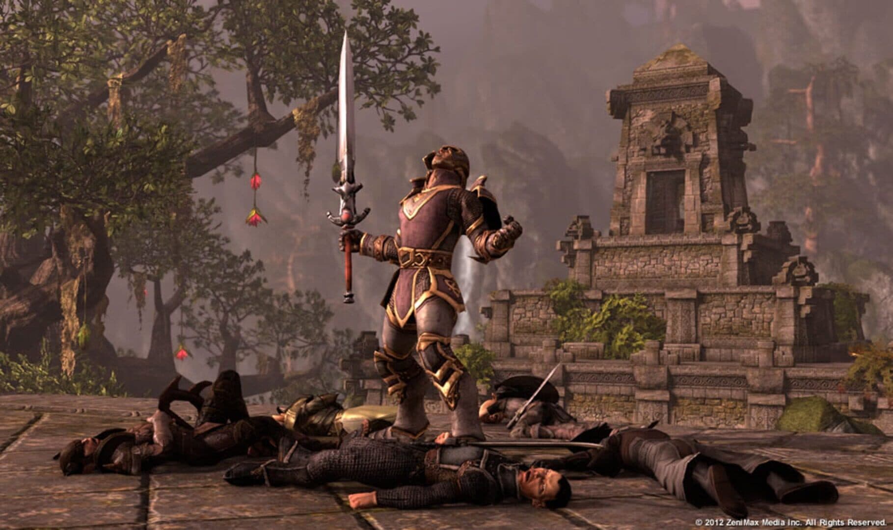 Screenshot for The Elder Scrolls Online