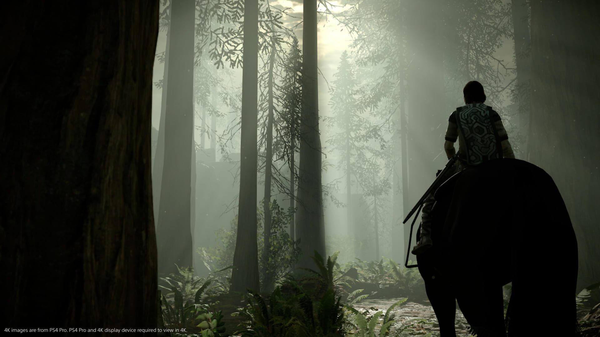 Screenshot for Shadow of the Colossus