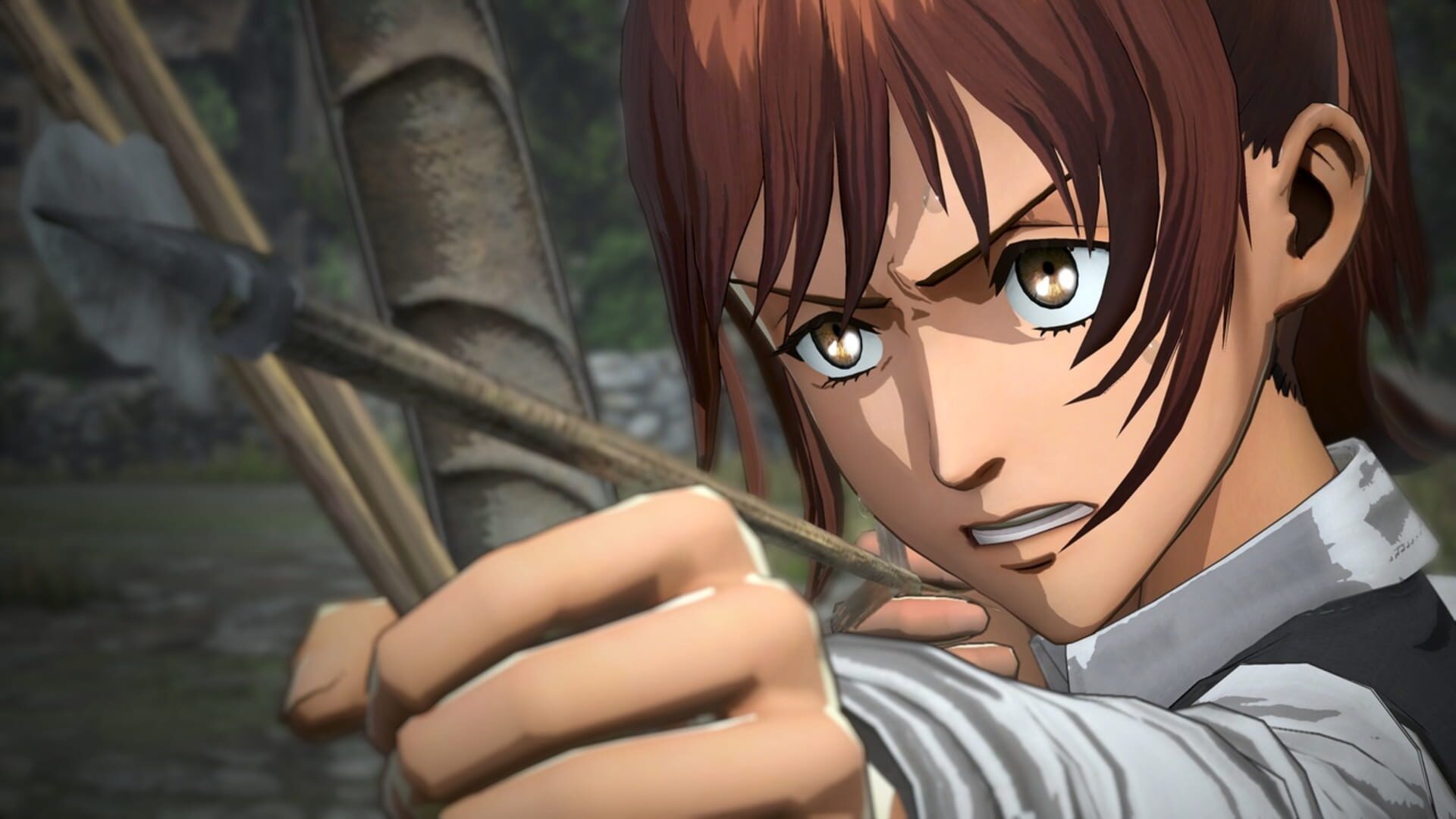 Screenshot for Attack on Titan 2