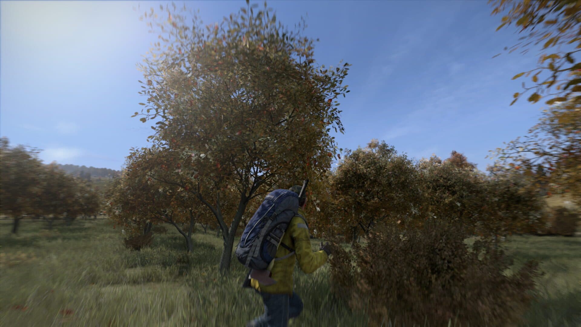 Screenshot for DayZ