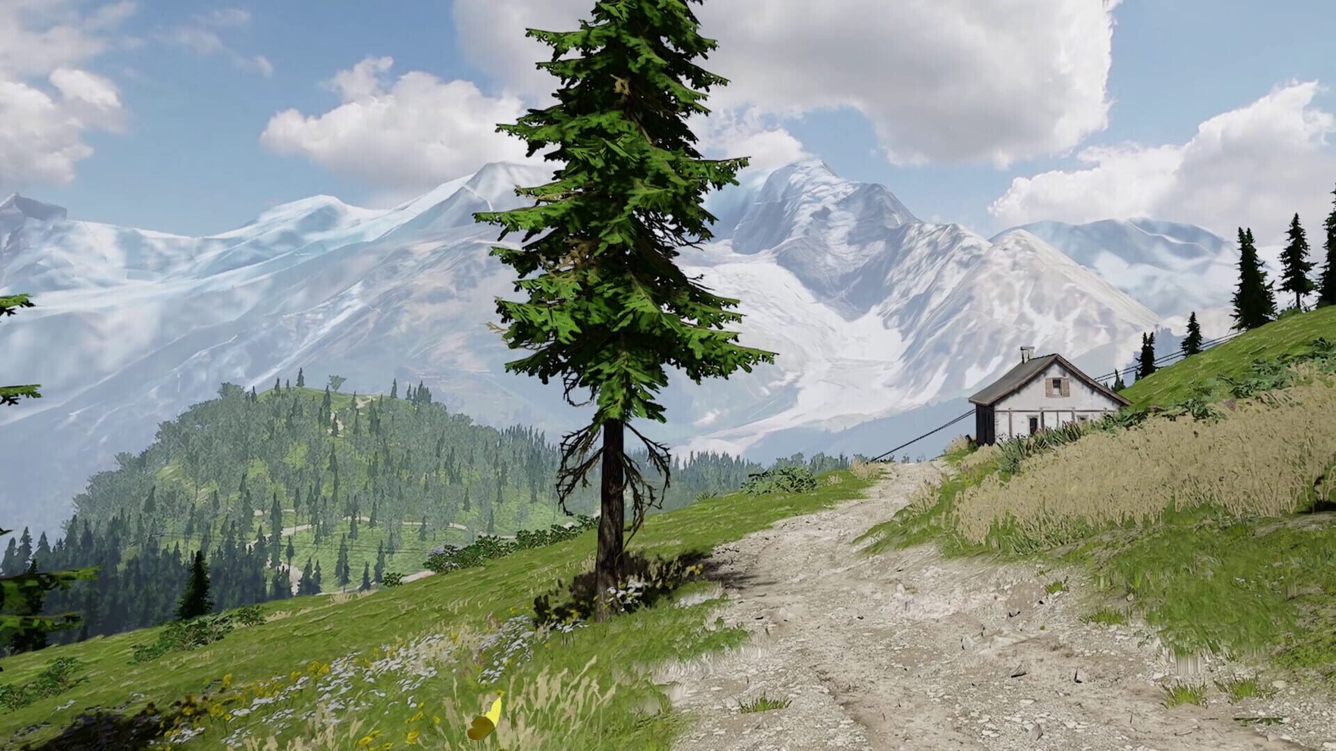 Screenshot for Lushfoil Photography Sim VR