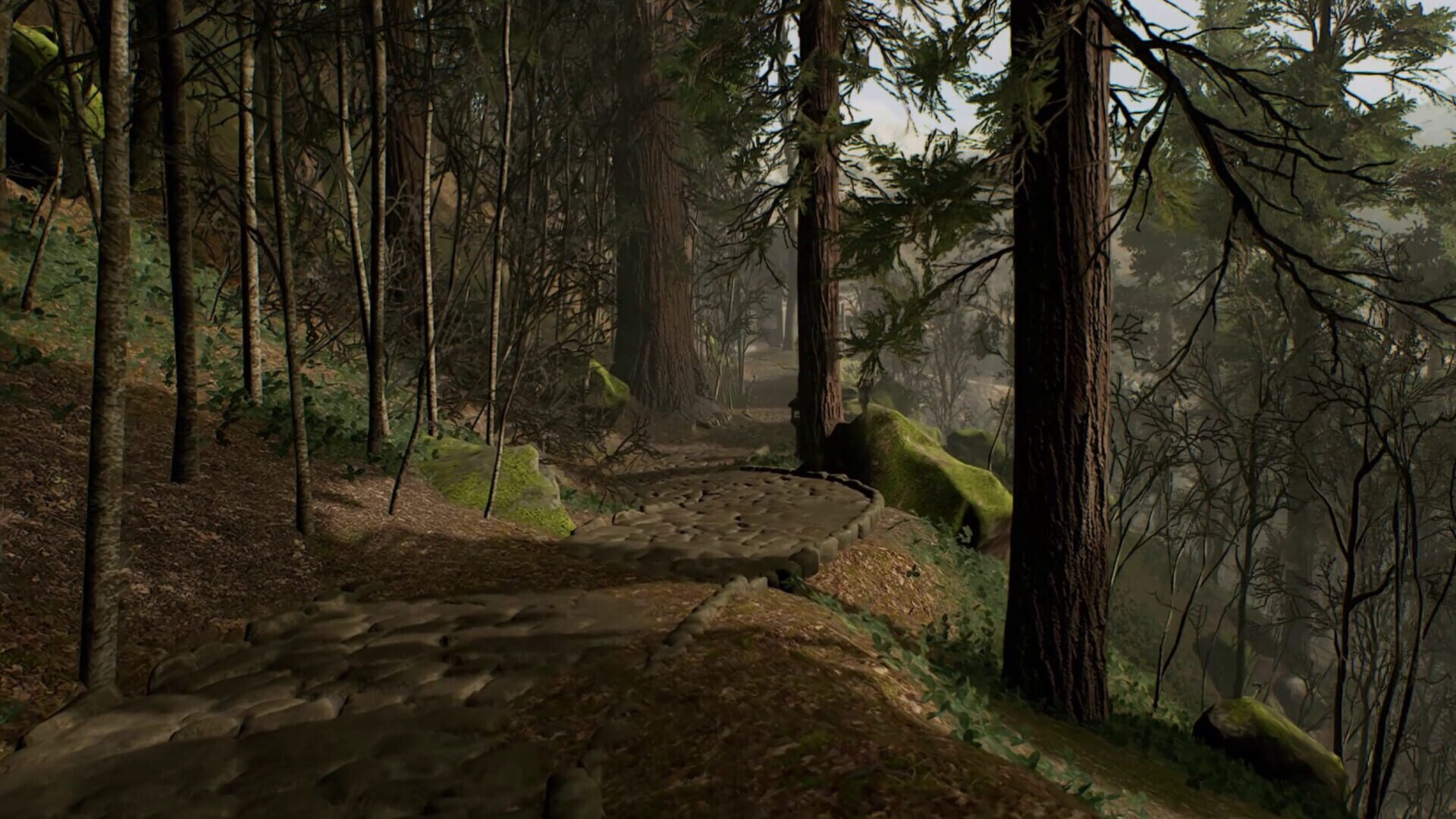 Screenshot for Lushfoil Photography Sim VR