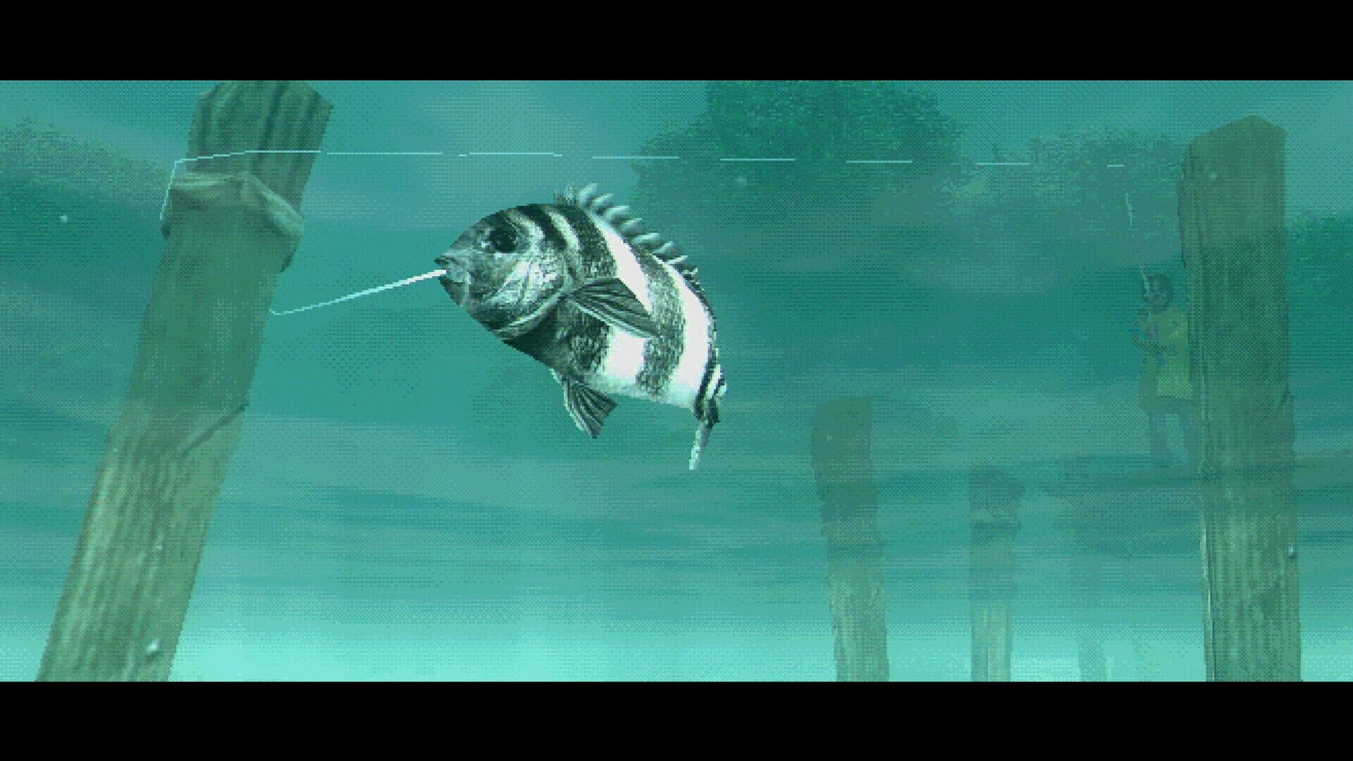 Screenshot for About Fishing