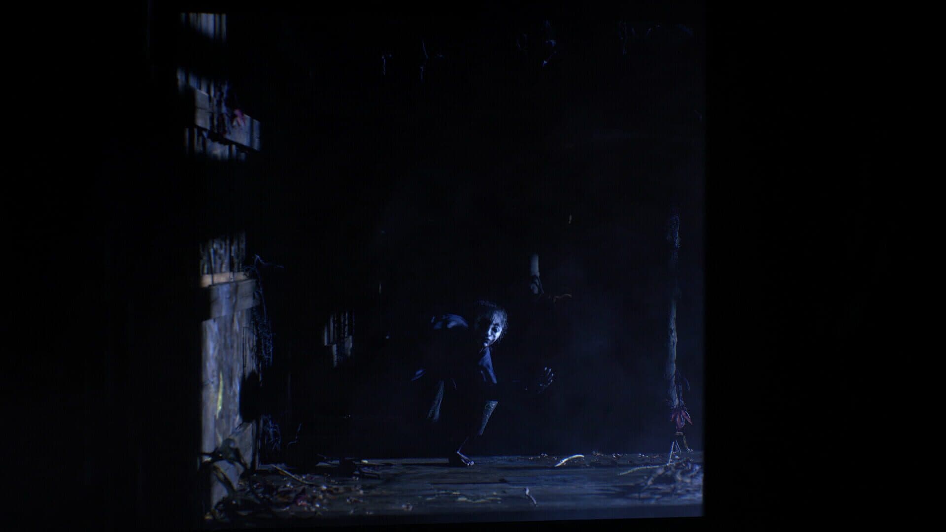 Screenshot for The Twilight Project