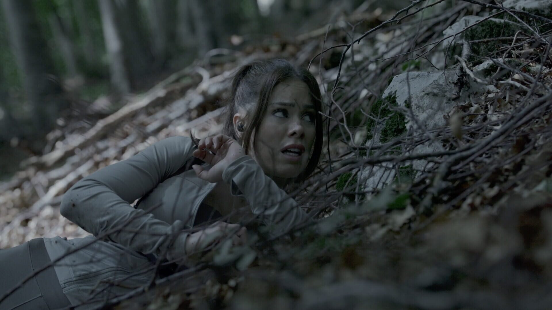 Screenshot for The Run